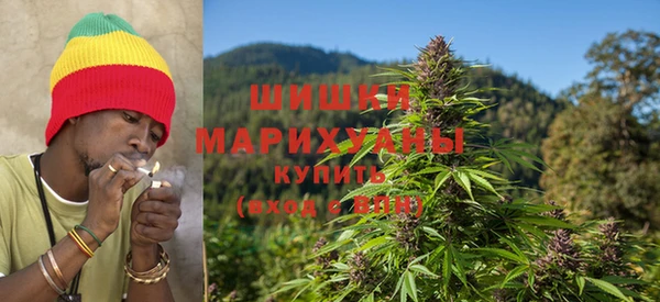 сатива Баксан