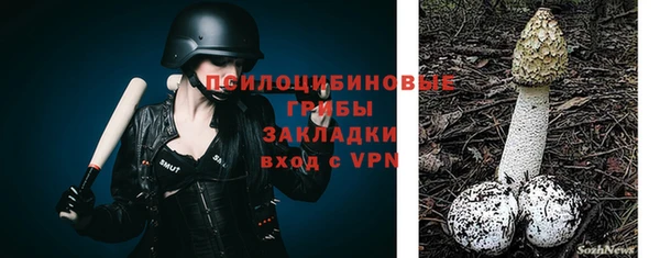 сатива Балабаново
