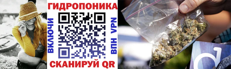 kraken маркетплейс Маркс Каннабис план